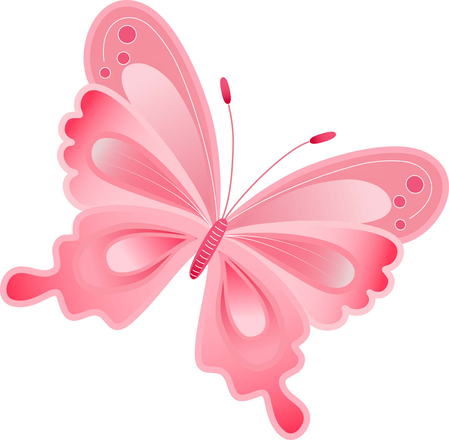 Pink Butterfly Illustration